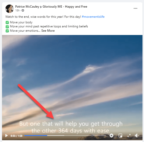 演示視頻中的字幕