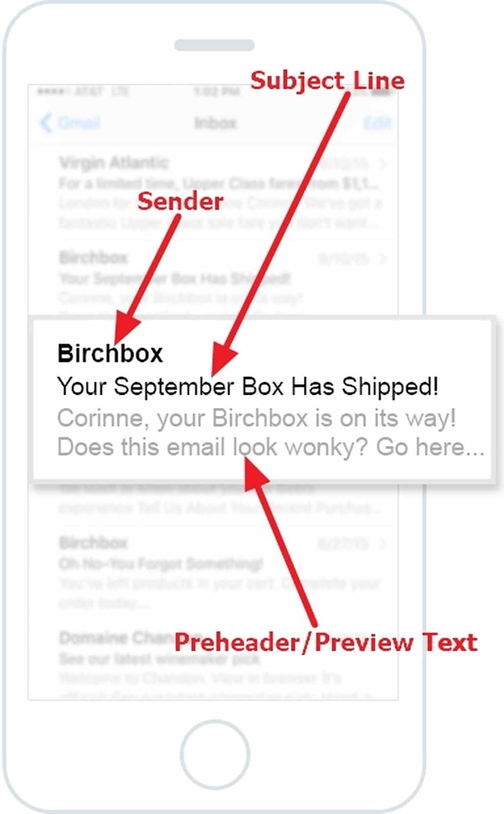 BirchBox 预头文本示例