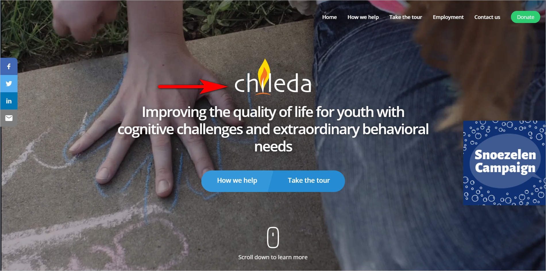 Chileda.org Ana Sayfası deviation from web standards example - chileda.org's homepage with the company logo in the page body