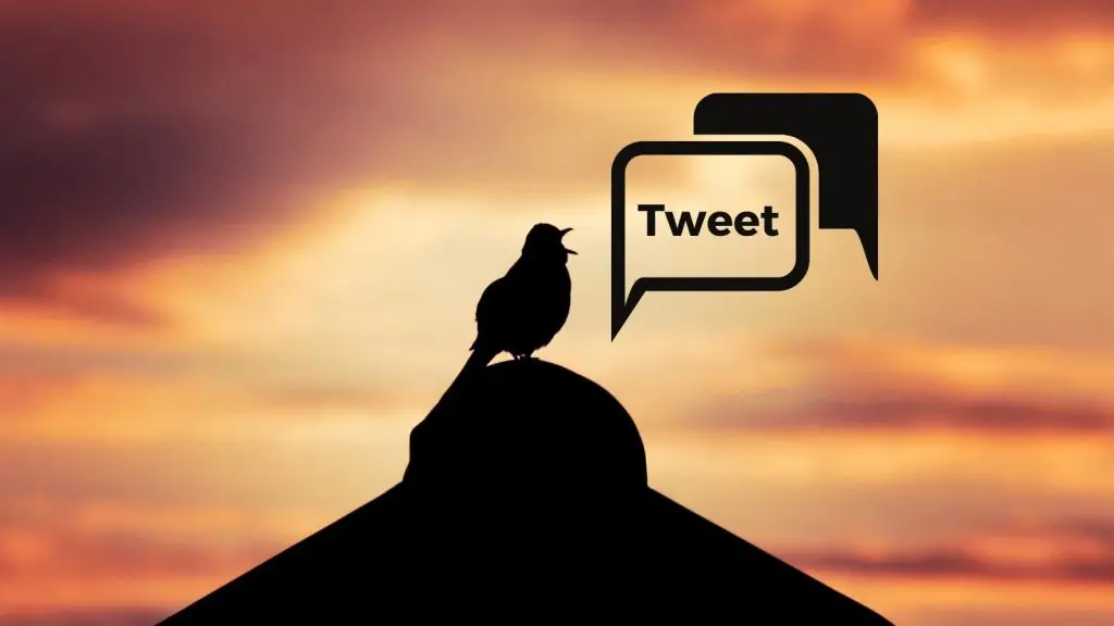 der Tweet, der zählte