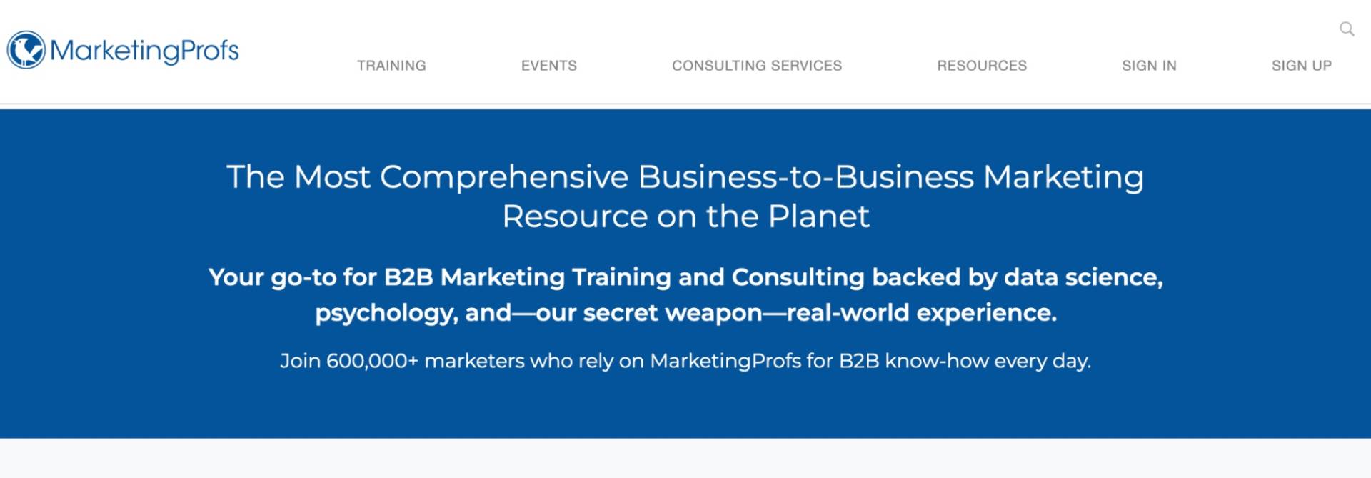 Professionisti di marketing