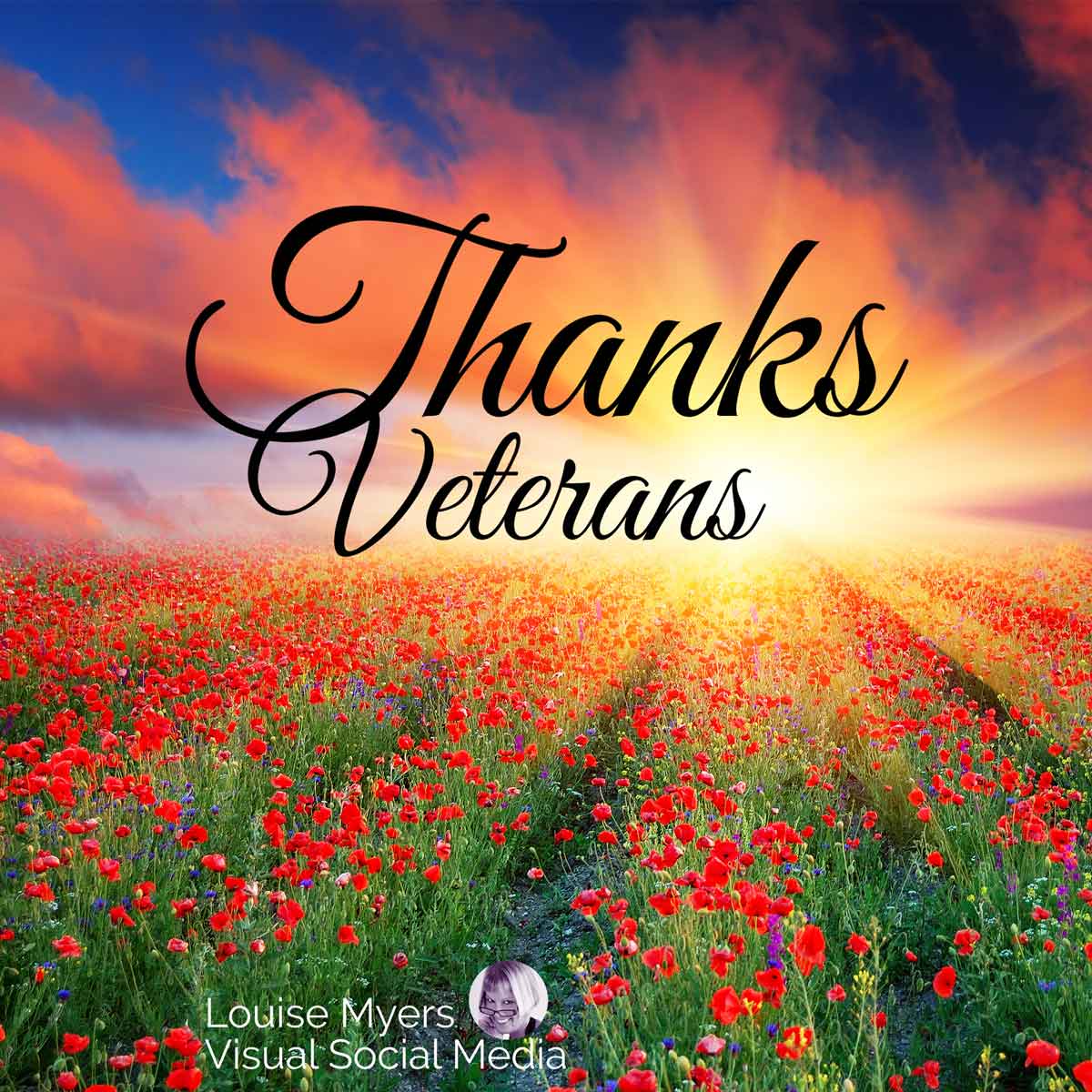 ベテランに感謝のスクリプトで赤いポピーのフィールドに沈む夕日のビーム。