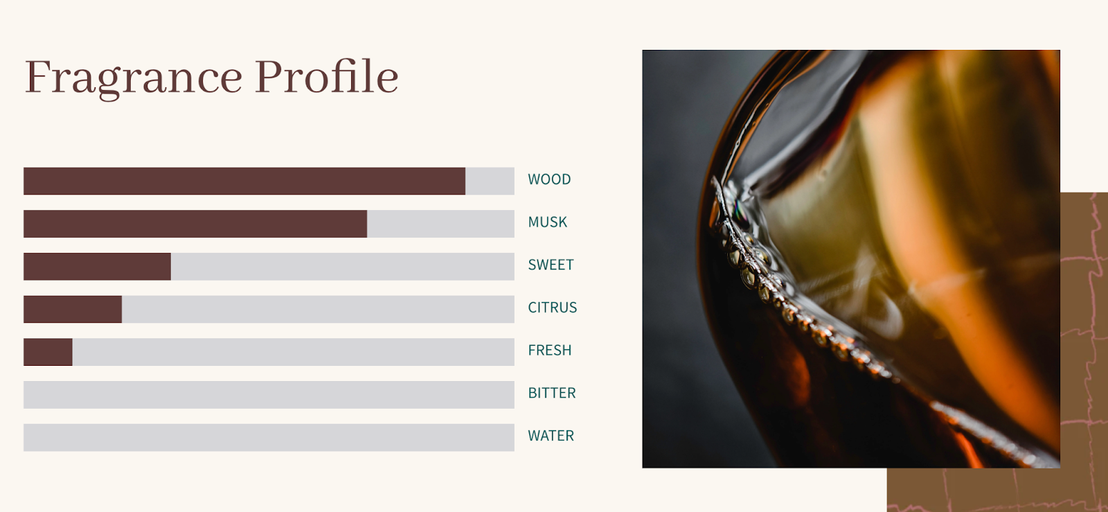 Eddi, bir koku bölümü kullanarak terk edilmiş sepetleri alıyor