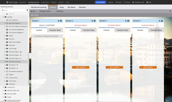 تنمية قيادة marketoengage