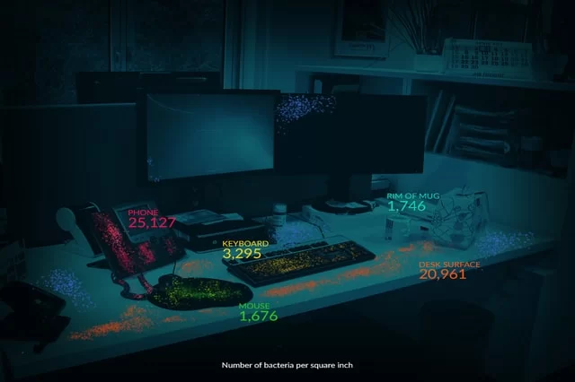 كيفية الحفاظ على مكتب عمل نظيف وصحي