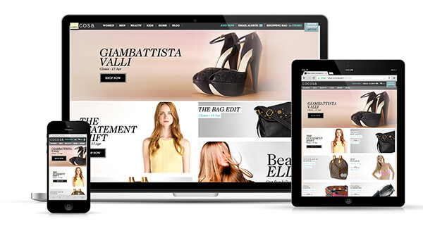 Web responsiva Cocosa