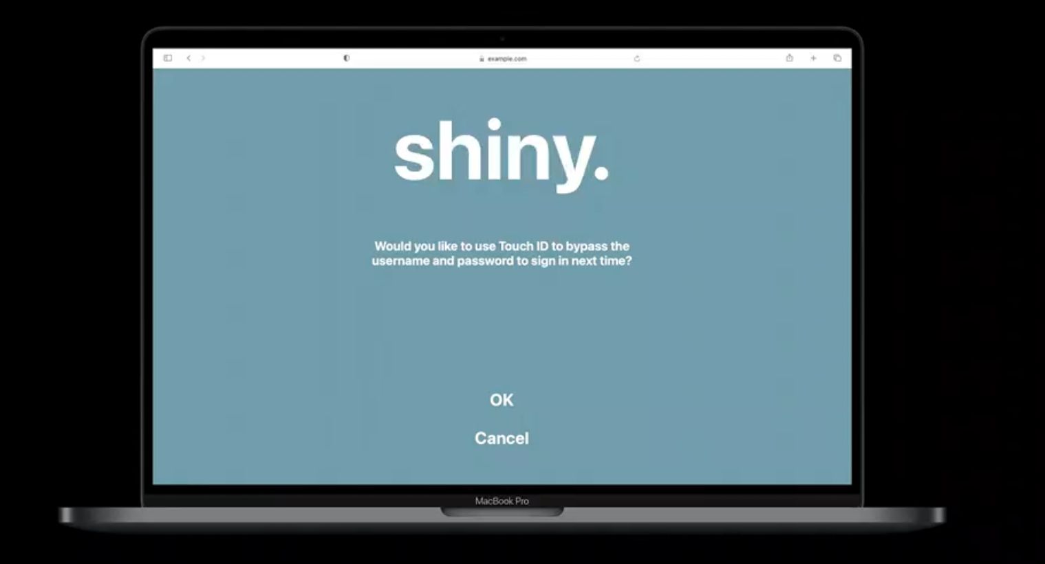 Touch ID und Face ID im Web