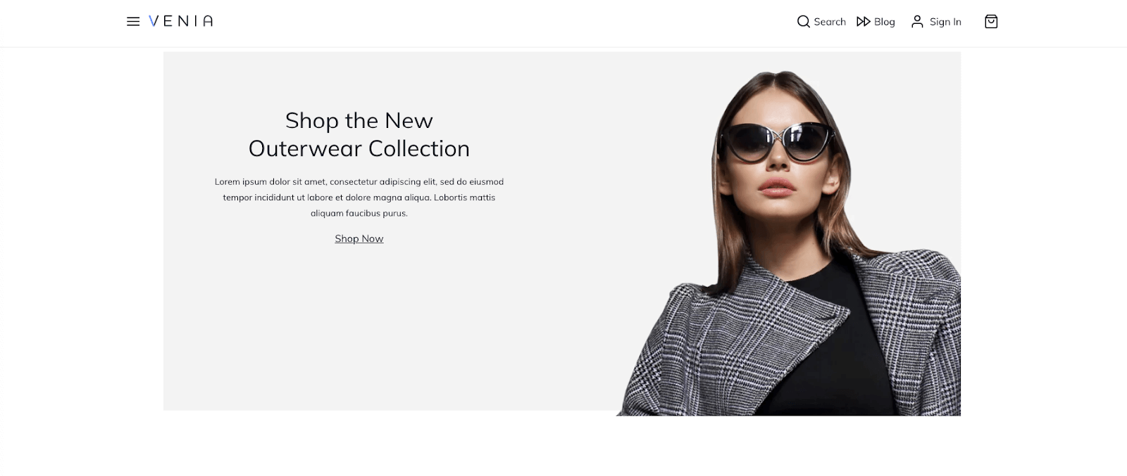 Demo ekstensi kustom PWA Studio