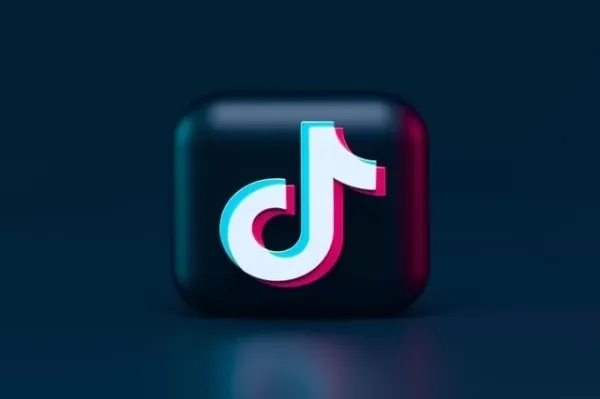 Bagaimana cara mulai menghasilkan uang di TikTok, Pemasaran Video TikTok