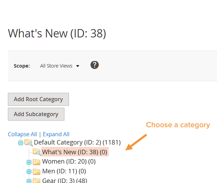 Wähle eine Kategorie