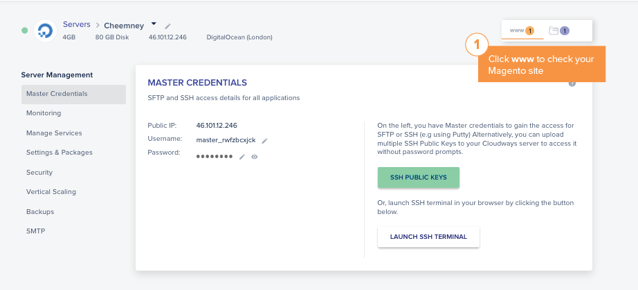 vérifier le site magento