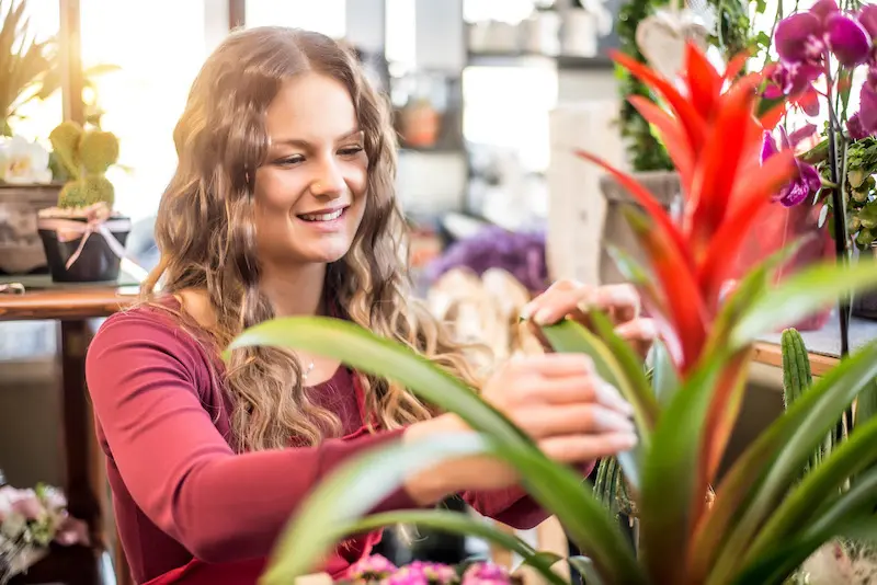Werbung für Floristen