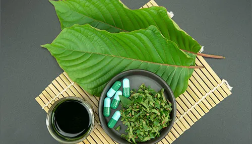 Green Horned Kratom