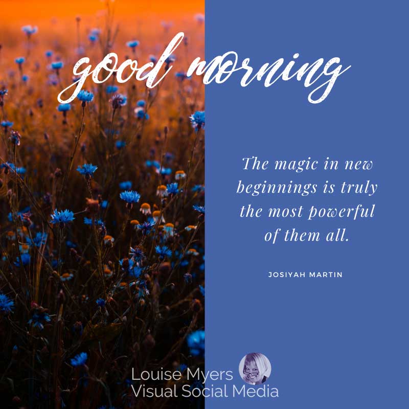 แสงยามเช้าบนทุ่งดอกไม้พร้อมคำพูดเกี่ยวกับความมหัศจรรย์ของการเริ่มต้นใหม่