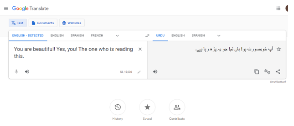 Google_Translate_1