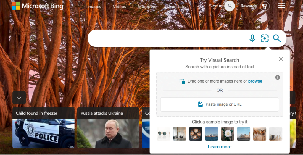 pesquisa reversa de imagens usando bing