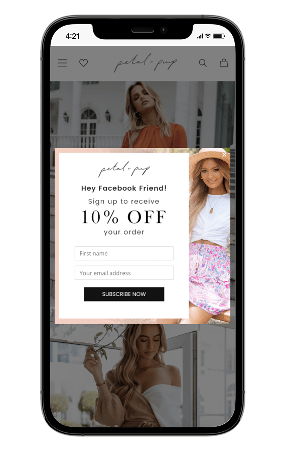 شكل الرصاص البتلة والجرو