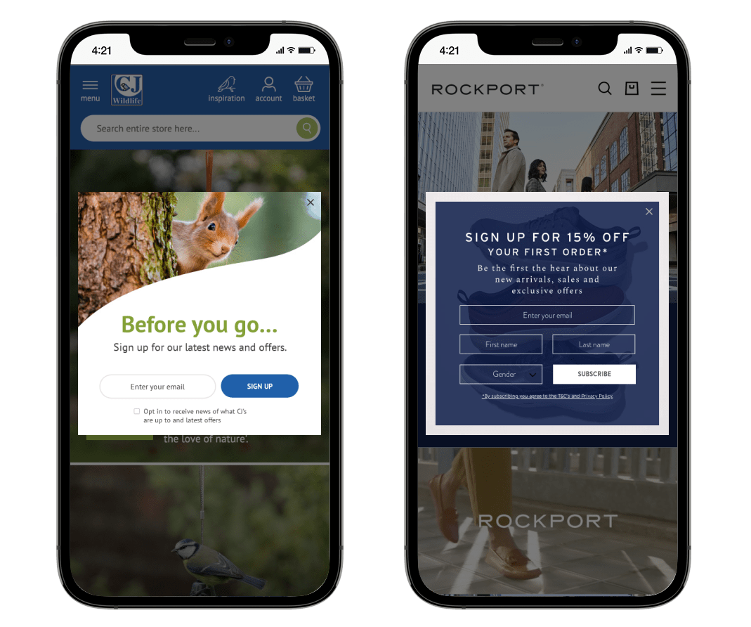 Capture de plomb Birdfood Rockport