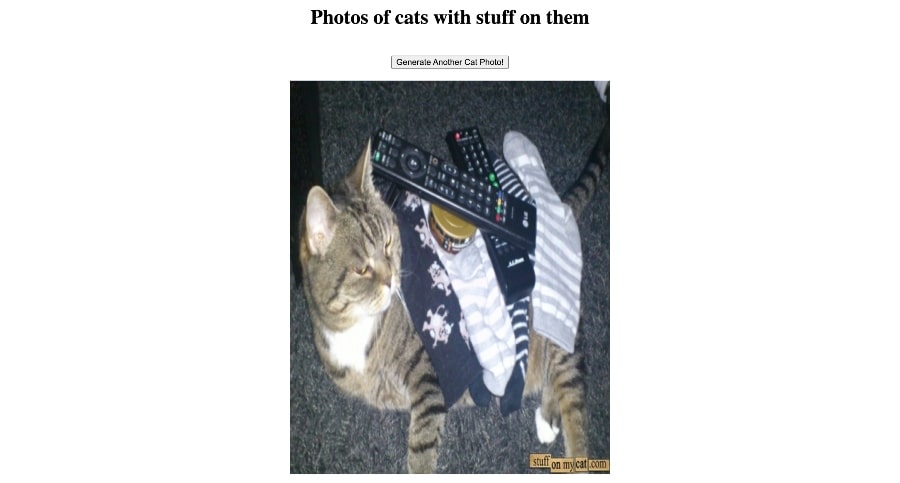 猫のユーモアの奇妙なウェブサイト