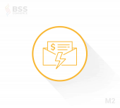 BSS magento 2 自动发票