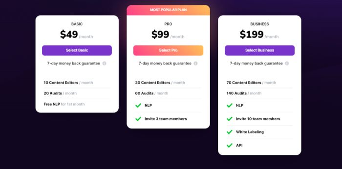 surfer-so-cena-roczna