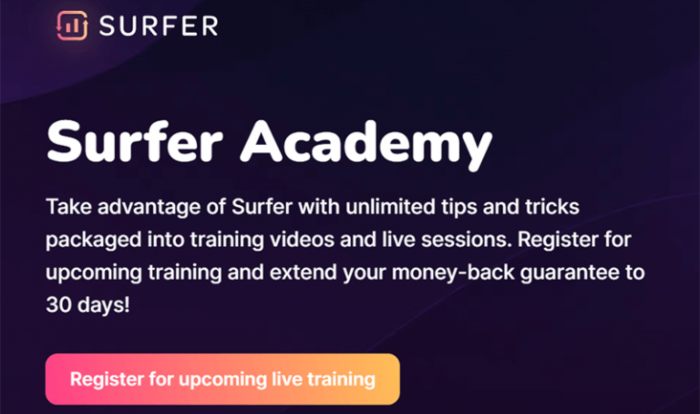 surfer-seo-trening
