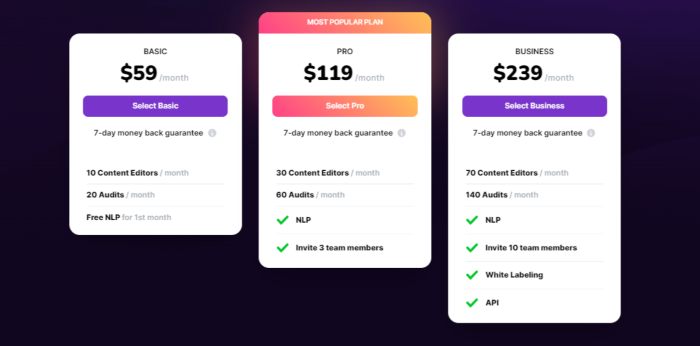 surfer-so-ceny-miesięczne