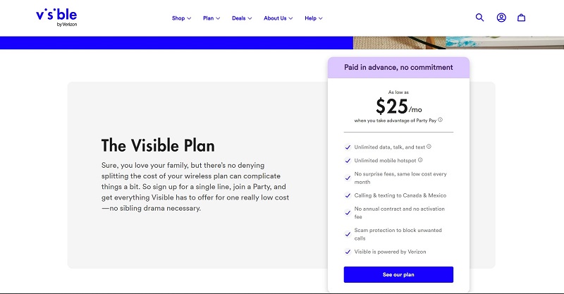 Görünür Planın Maliyeti