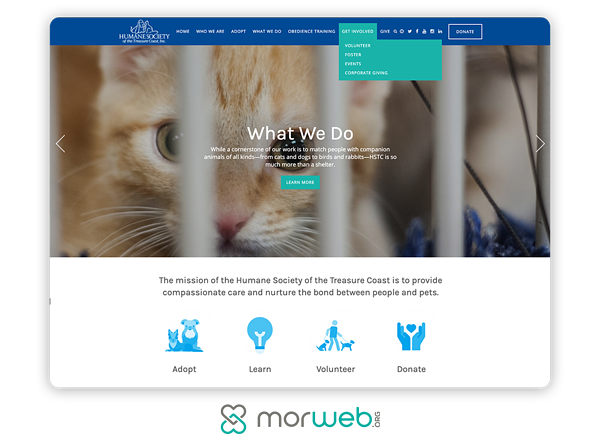 immagine di navigazione del sito fluida