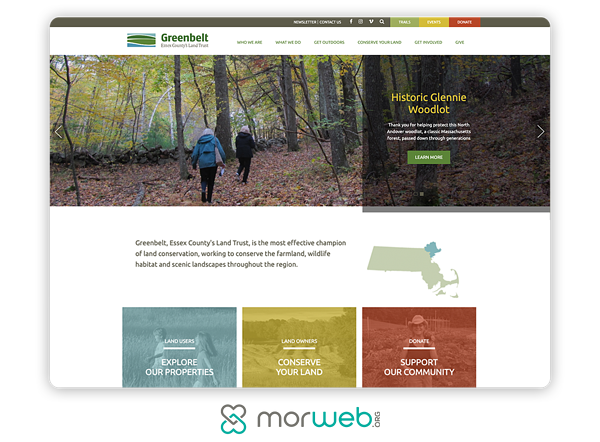 immagini accattivanti del design del sito