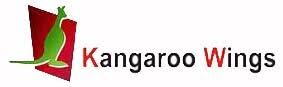 5 cele mai bune cursuri de marketing digital din Faridabad 5 Kangaroo wings