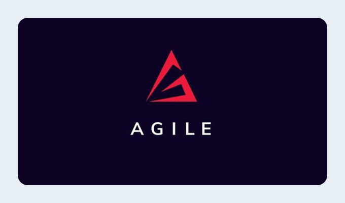 Agenzia digitale agile
