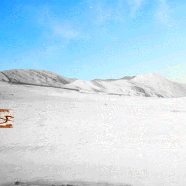 เพนกวินป็อปทาร์ต gif