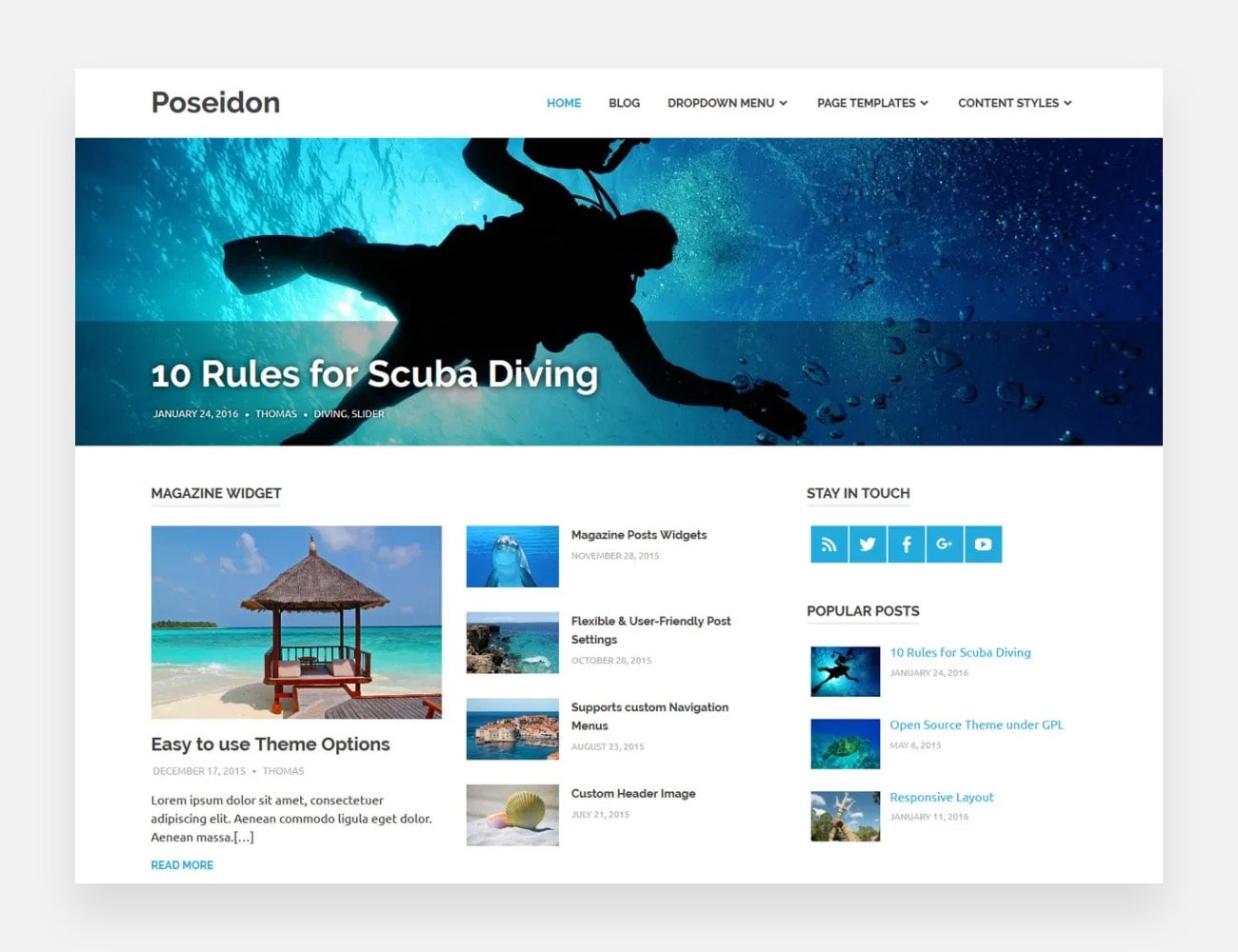 Бесплатные темы WordPress для писателей Poseidon