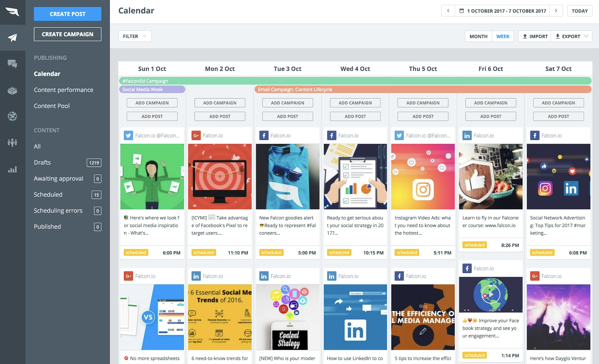 zrzut ekranu falcon.io