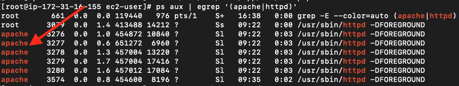 如何將 Magento 2 站點從本地主機轉移到服務器? | MageWorx Magento 博客