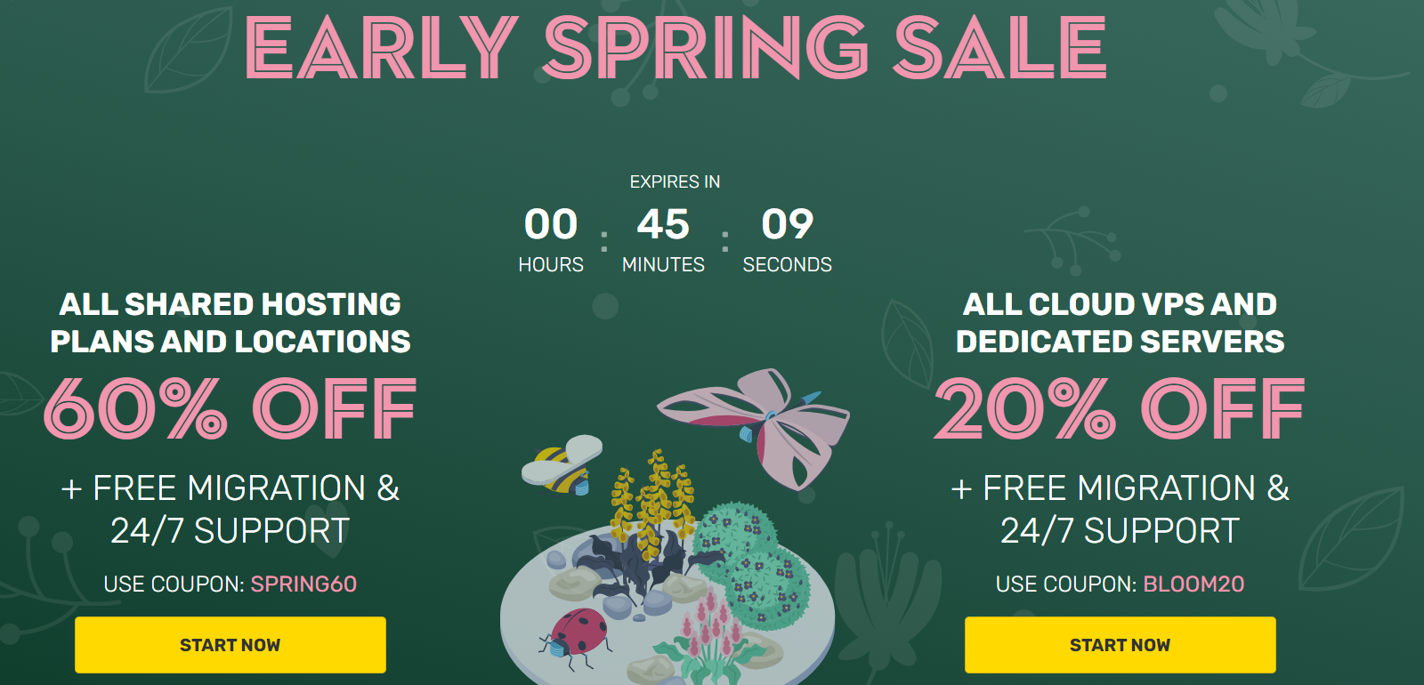 alojamiento web magento