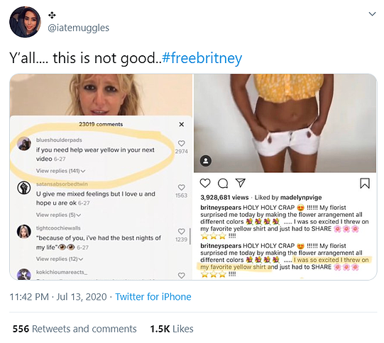 freebritney