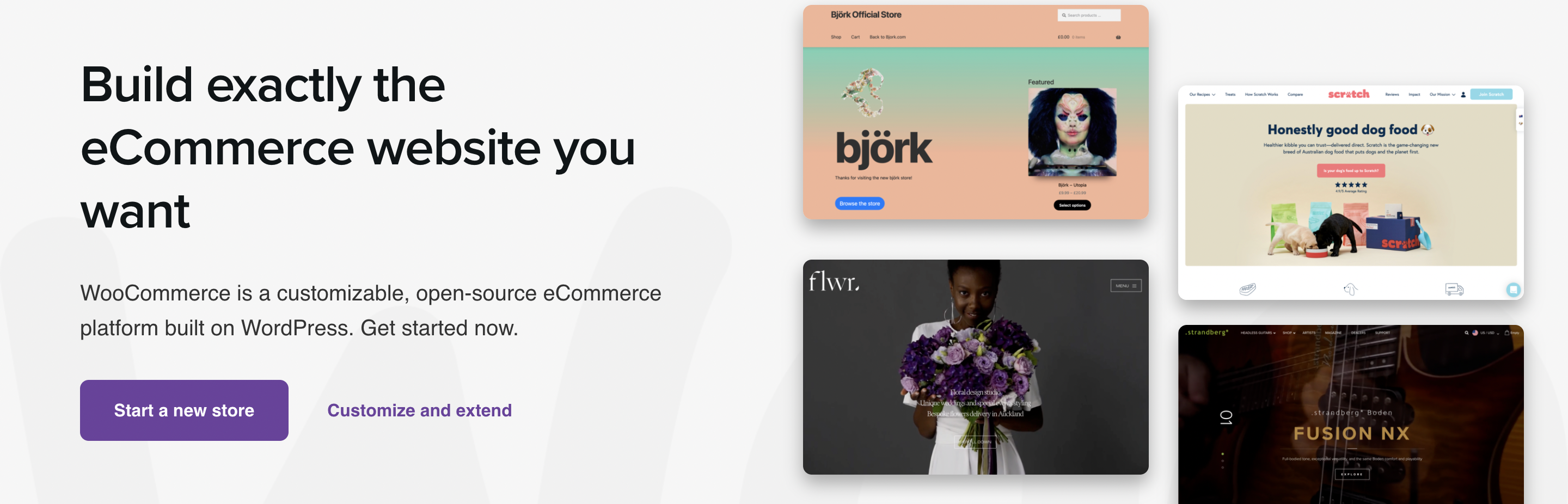 beste Online-Warenkorb-Lösungen