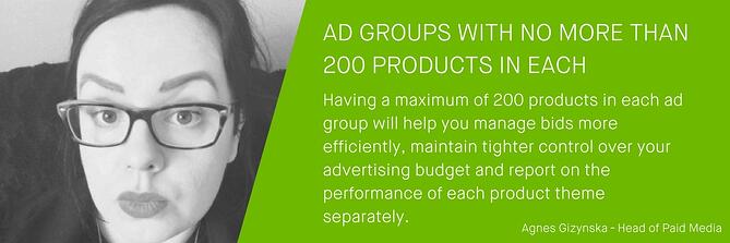 Google ショッピング エキスパート アグネス ギジンスカ Google Shopping Expert Agnes Gizynska