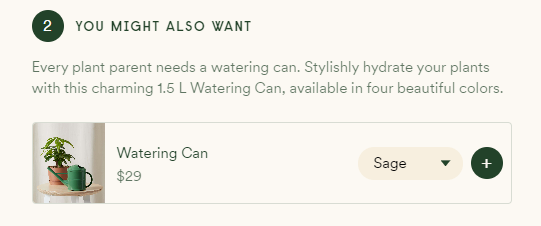 Esempio di un prodotto promosso su una pagina di prodotto in WooCommerce