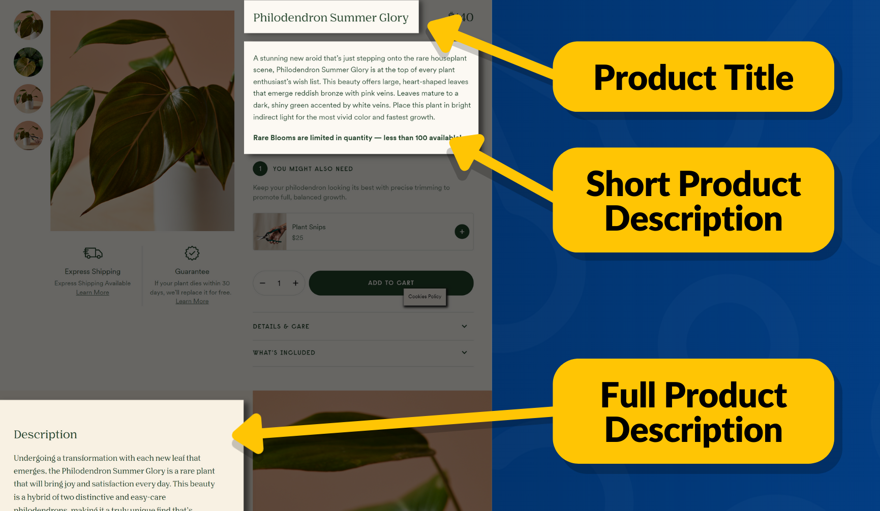 Esempio di titolo di pagina, breve descrizione del prodotto e descrizione completa del prodotto su un sito Web WooCommerce