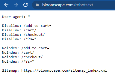 Screenshot di un file Robots.txt