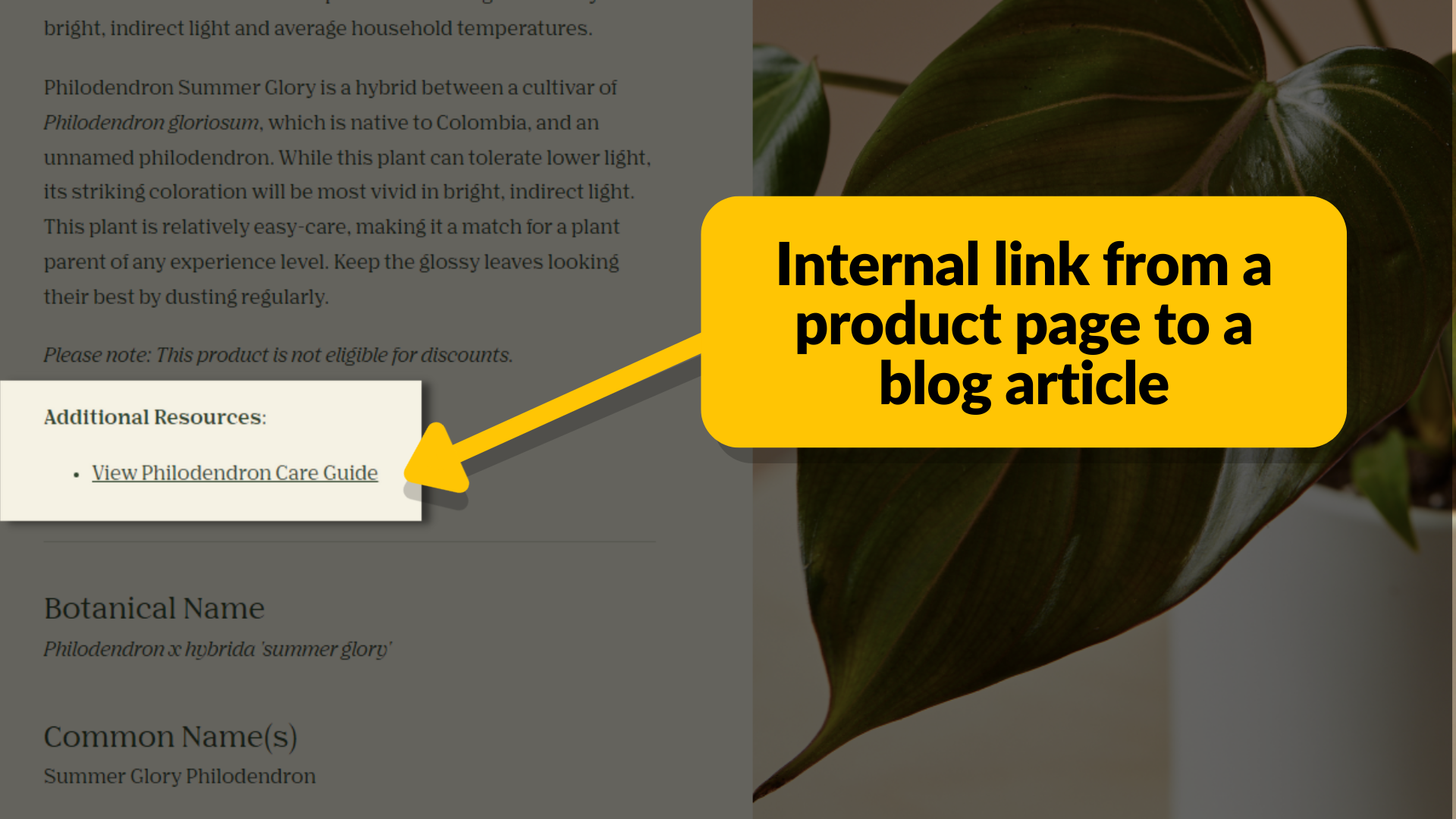 Esempio di collegamento interno. Il testo recita "Link interno da una pagina di prodotto a un articolo del blog"