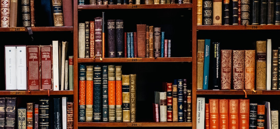 società di e-commerce seo