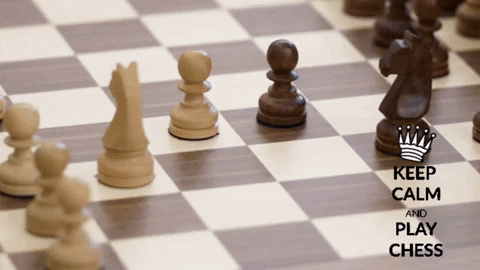 Sjakk Rogaland GIF โดย Norway Chess