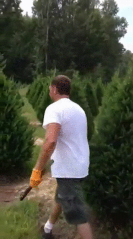 레벨 전문가 GIF