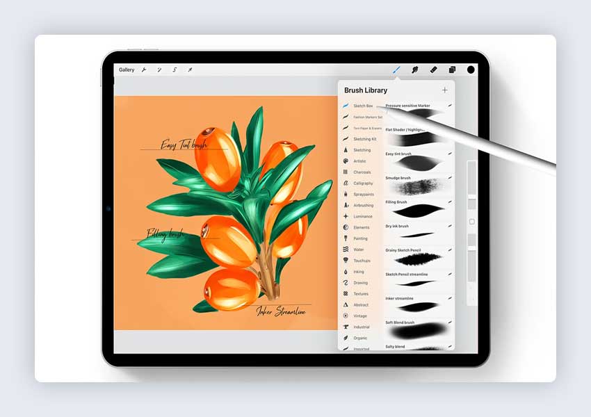 Procreate için Eskiz Kutusu