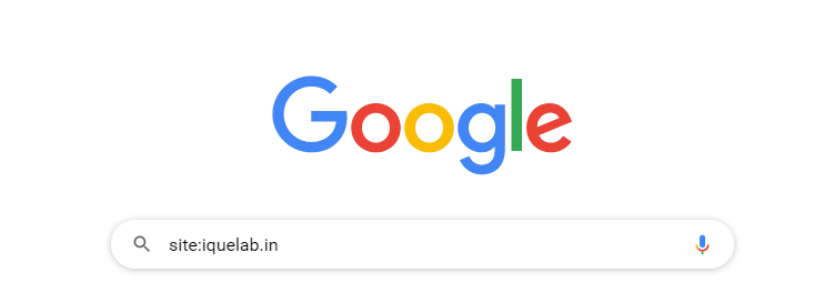 重複コンテンツと SEO: 完全ガイド 9 Check Indexed Pages