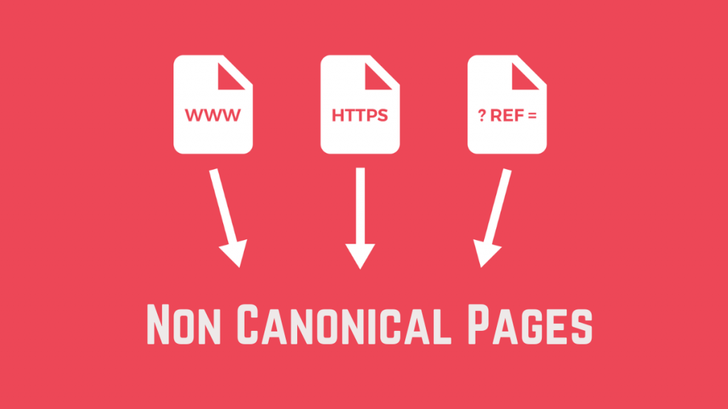 الصفحات اليتيمة: كيفية البحث عنها وإصلاحها لتحسين مُحسّنات محرّكات البحث 4 Non Canonical Pages